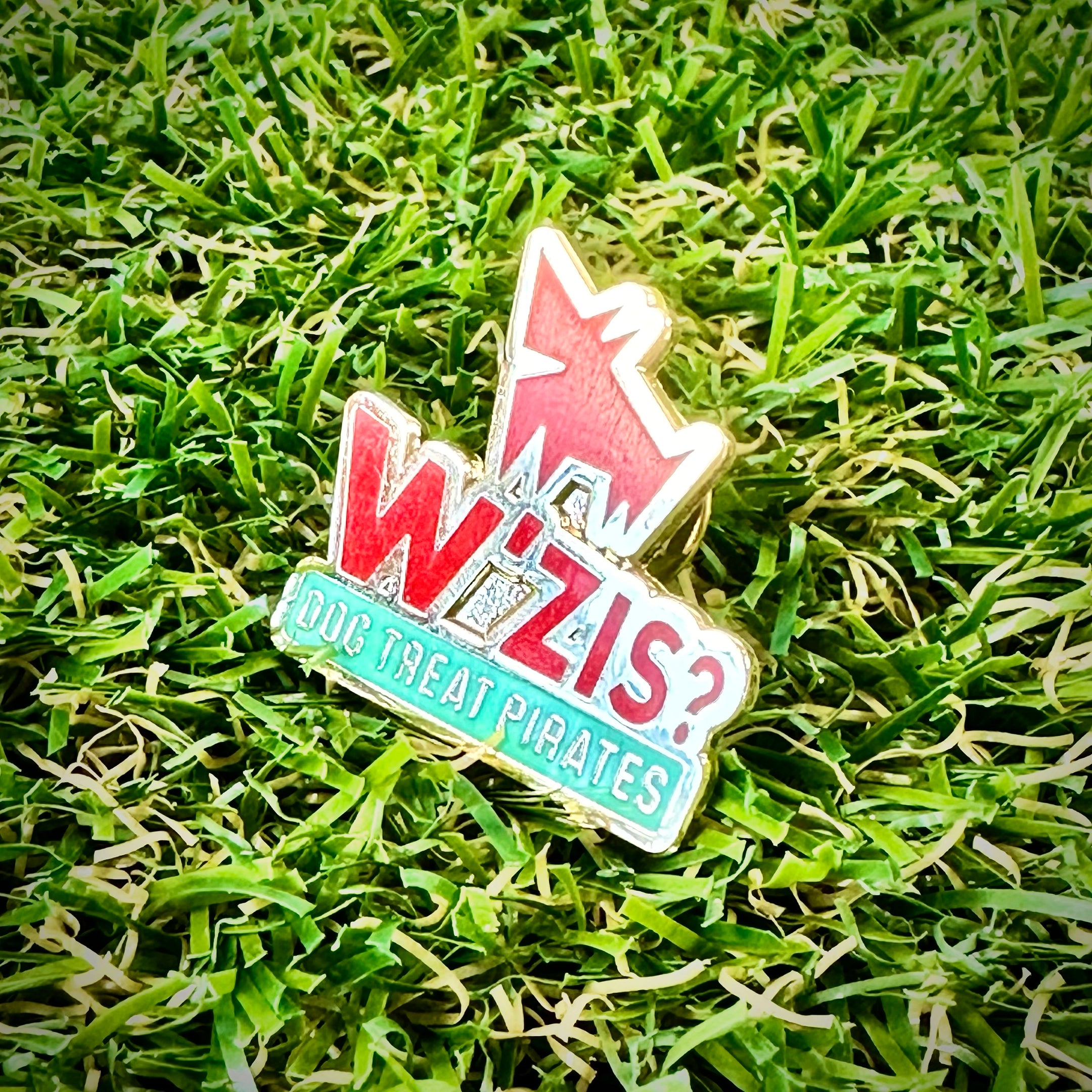 W’ZIS pirate badge on grass